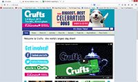 Click To View Crufts