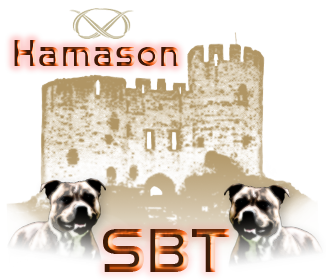 Welcome To Hamason Staffords