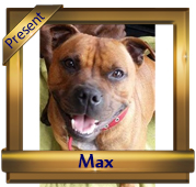 Hamason Red Remembrance