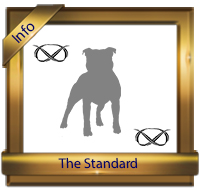 Check Out The Breed Standard