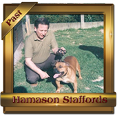 Bel CH Hamason Red Rebellion