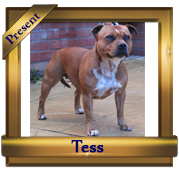 Click Me To Enlarge To Full Image